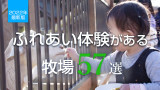 nuxt-img latest 100 articles items image