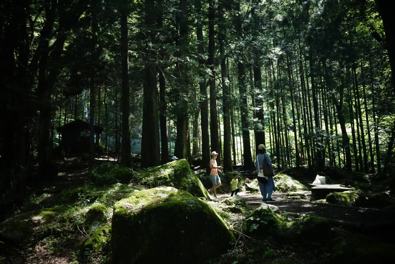 RingNe Festival 写真4