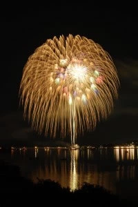 第49回阿賀野川ござれや花火 写真3