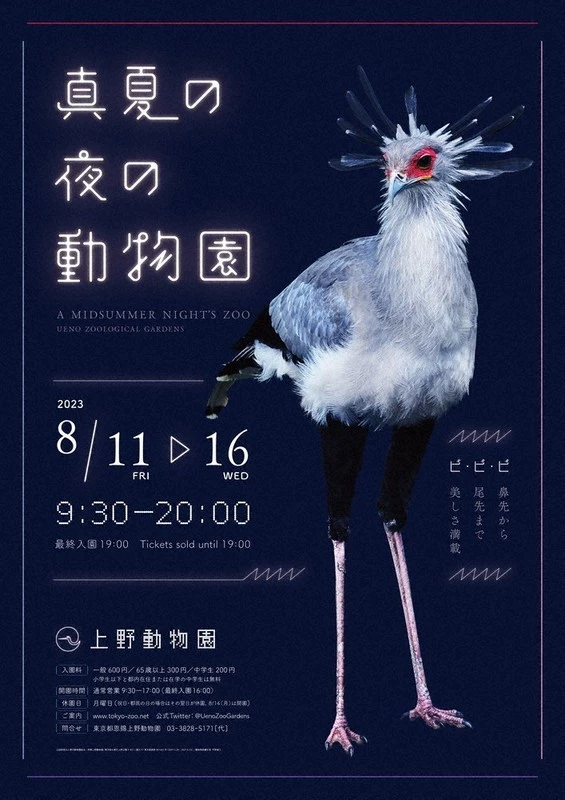 真夏の夜の動物園