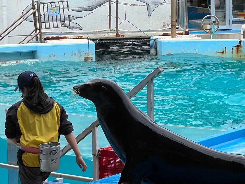 のとじま水族館