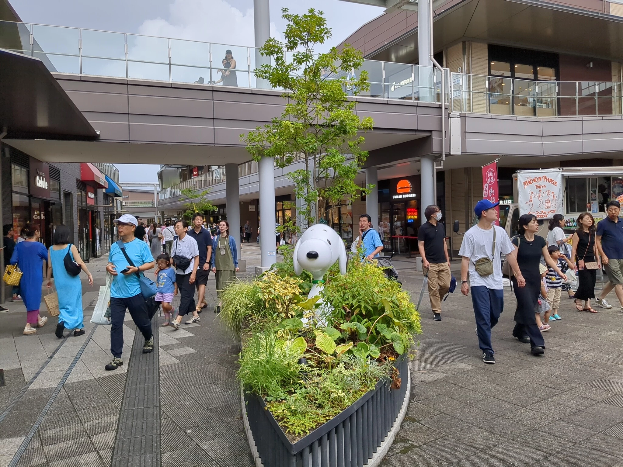 南町田グランベリーパーク(南町田グランベリーパーク) 写真3