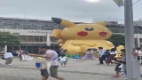 巨大ピカチュウ発見