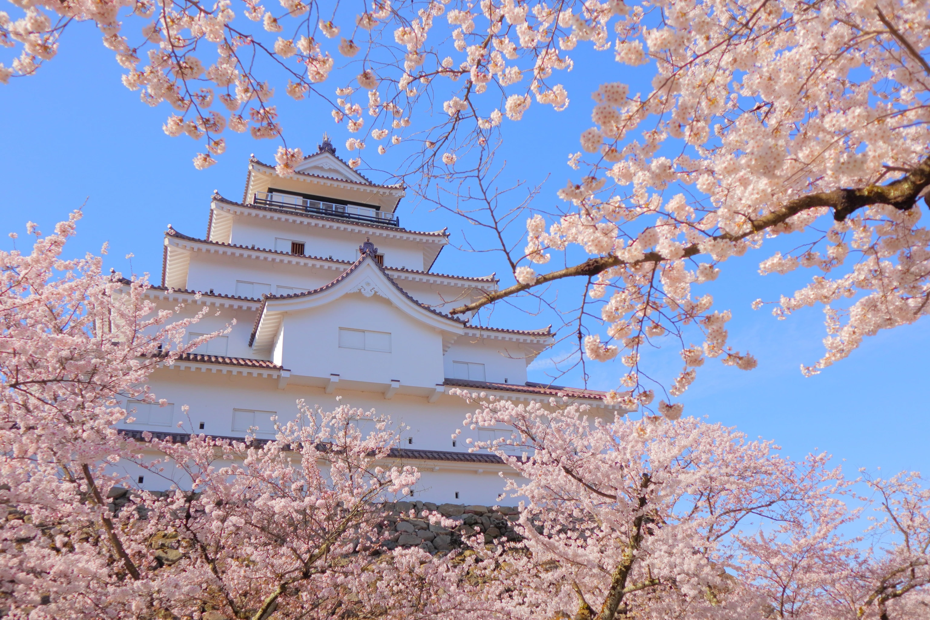 banner mintoku