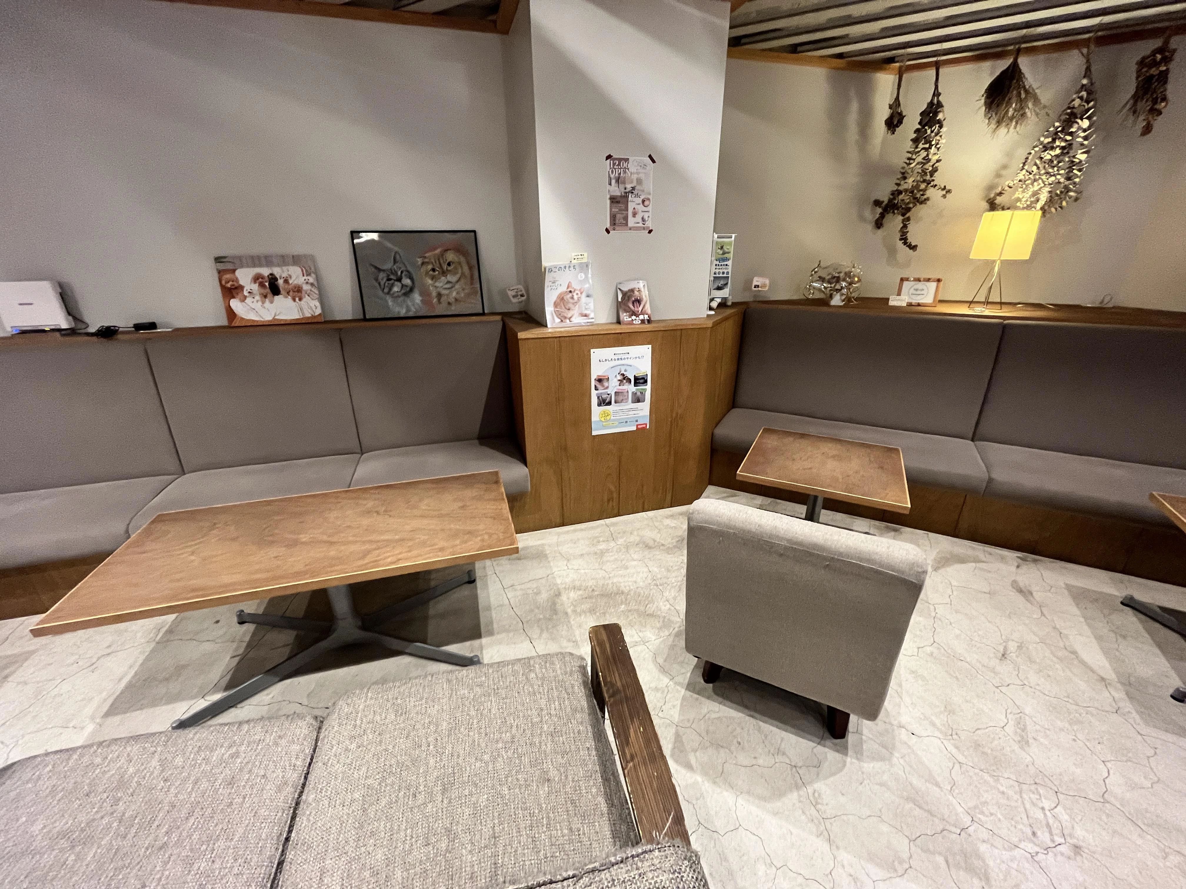 hiff cafe tamagawa 写真2